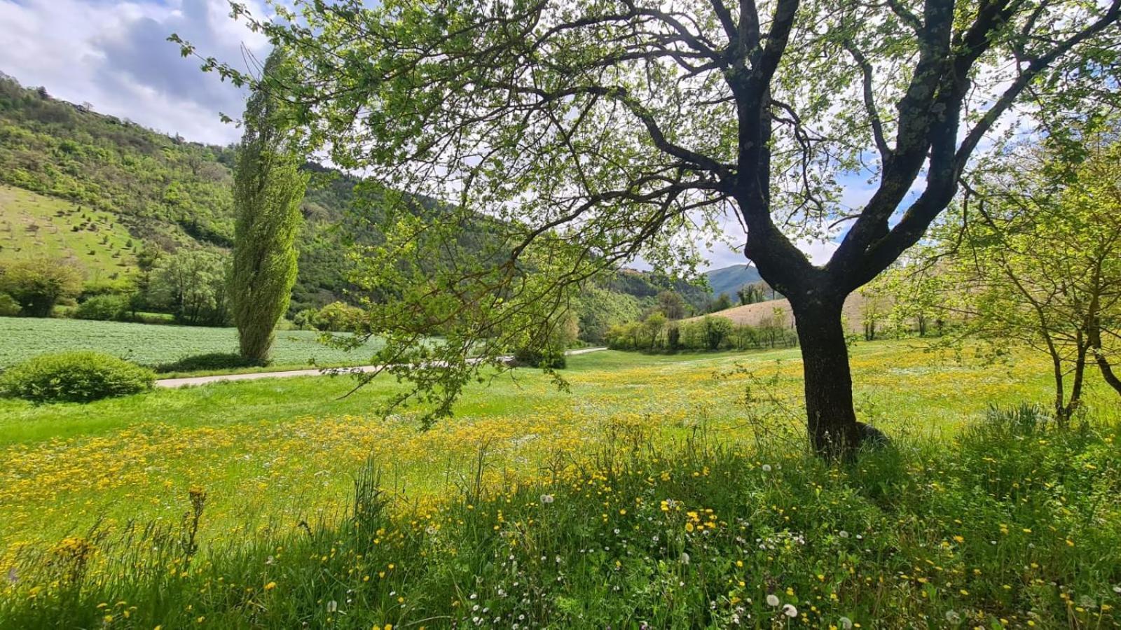 Гостевой дом Casa Zia Cianetta Residenza Di Campagna Capodacqua  Экстерьер фото